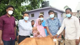 সানন্দবাড়িতে প্রধানমন্ত্রীর পক্ষ হতে গরু পেলেন ৩৬৫ দরিদ্র পরিবার