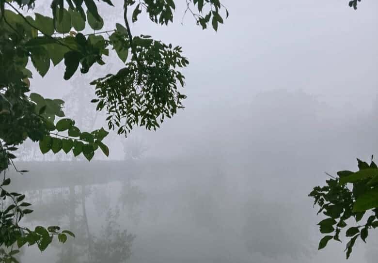 চিরিরবন্দরে হিমেল হাওয়া,কনকনে ঠান্ডা ও কুয়াশায় বিপর্যস্ত জনজীবন