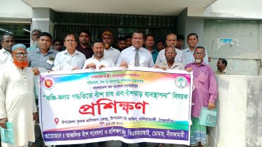 কঞ্চি-কলম পদ্ধতিতে বাঁশ চাষ ও বাঁশঝাড় ব্যবস্থাপনা”