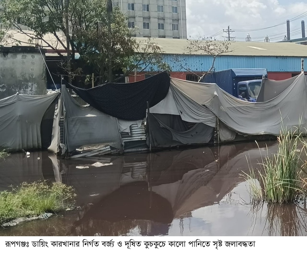 রূপগঞ্জে ডায়িং কারখানা পরিবেশ বিপন্ন ও পানি দূষণ করায়  জমির ফসল ক্ষতিগ্রস্থ হচ্ছে ও  মাছ মরে যাচ্ছে 