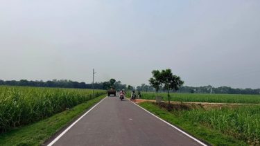 ঠাকুরগাঁওয়ে এলজিইডির উন্নয়ন কার্যক্রমে গতি, নেতৃত্বে নির্বাহী প্রকৌশলী মামুন বিশ্বাস