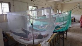 রূপগঞ্জে ডেঙ্গুর প্রাদুর্ভাব, বাড়ছে রোগীর সংখ্যা,নেই মশক নিধন কার্যক্রম, আতঙ্কে মানুষ