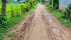 বিএনপি’র এমপি প্রার্থী ফয়সল আমিনের কাছে রাস্তা পাকাকরণের দাবি এলাকাবাসীর