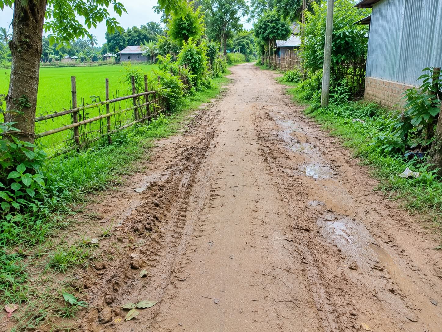 বিএনপি’র এমপি প্রার্থী ফয়সল আমিনের কাছে রাস্তা পাকাকরণের দাবি এলাকাবাসীর